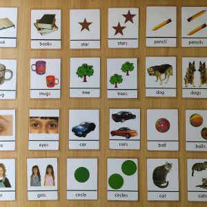 singular-pular-basic cards