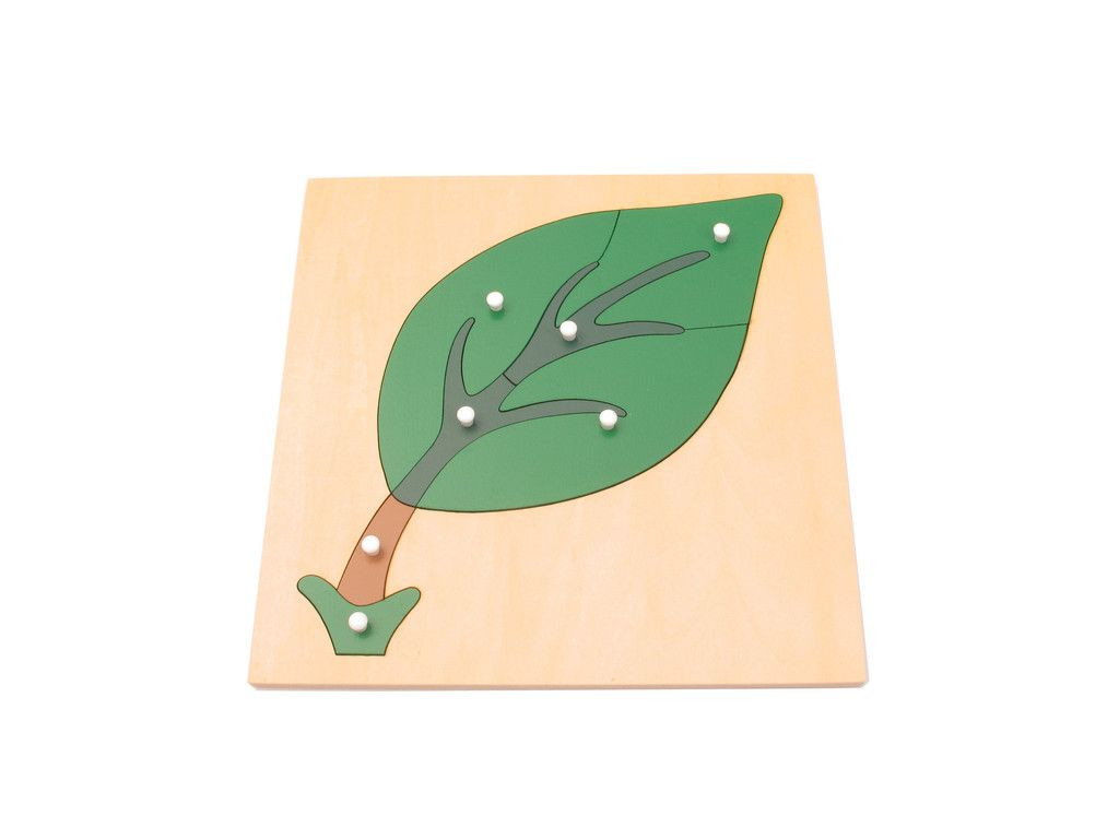 PUZZLE PARTS OF A LEAF