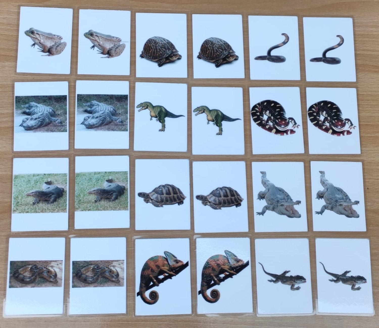 REPTILE MATCHING CARDS