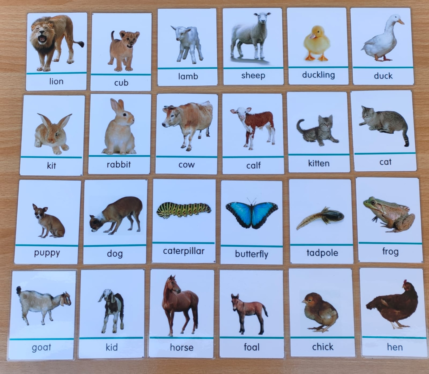 ANIMAL & THEIR BABIES MATCHING CARDS