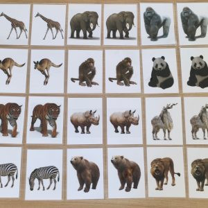 JUNGLE-ANIMAL-MATCHING-CARD-