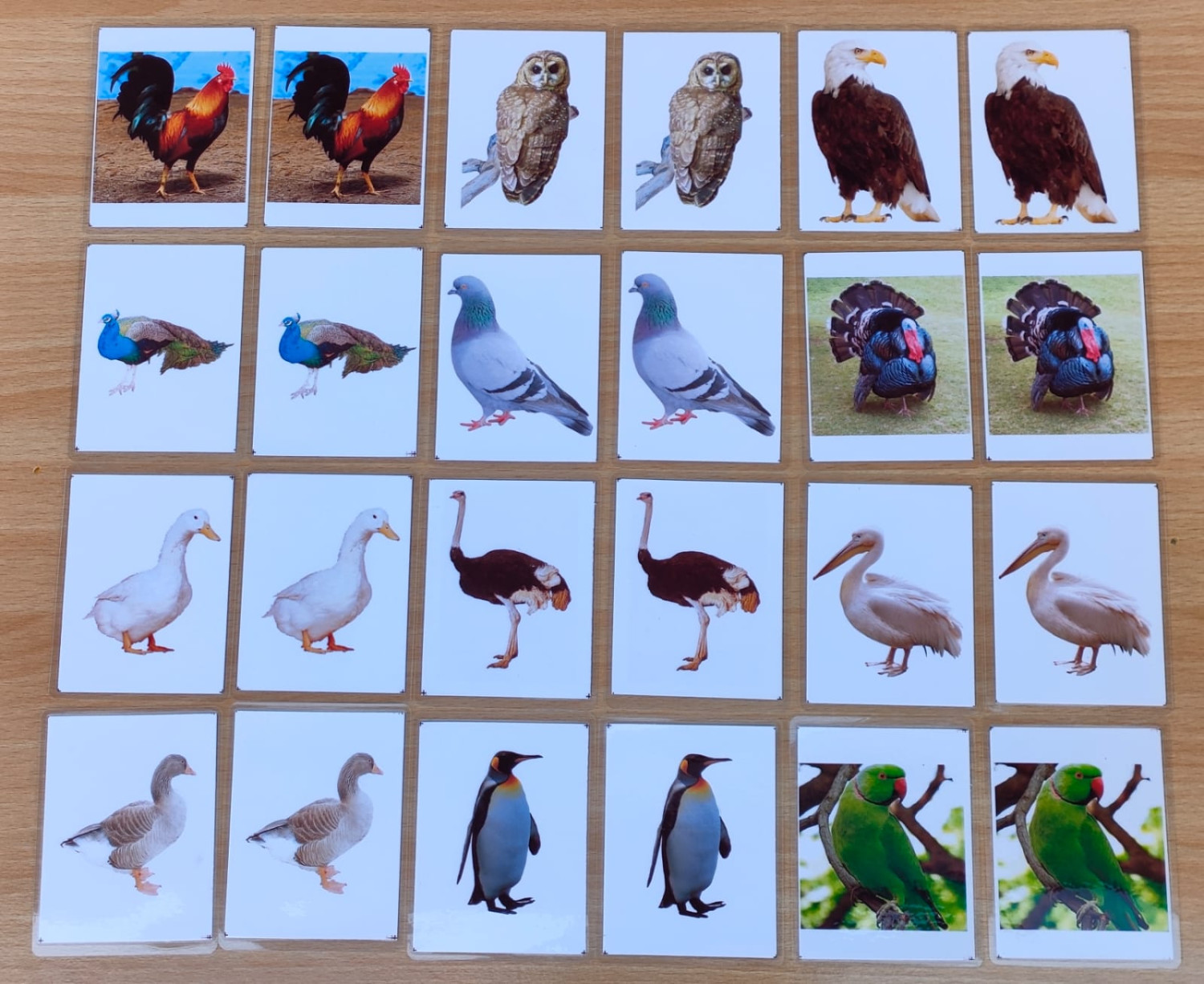 BIRD MATCHING CARDS