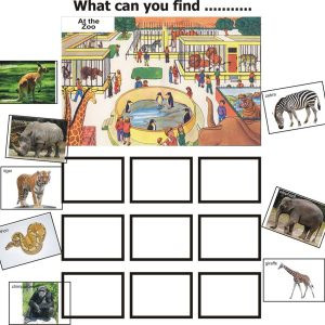 WHAT-CAN-YOU-FIND-@-ZOO
