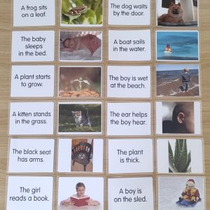 sentence-picture matching 2