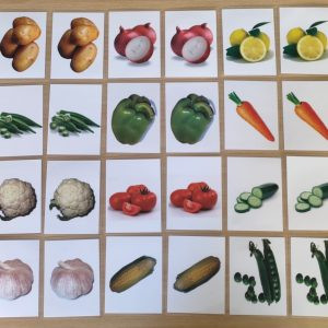VEGETABLE-MATCHING-CARD